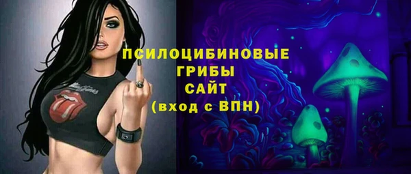 сатива Алексин