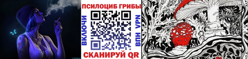 Галлюциногенные грибы MAGIC MUSHROOMS хочу наркоту KRAKEN как войти Шатура